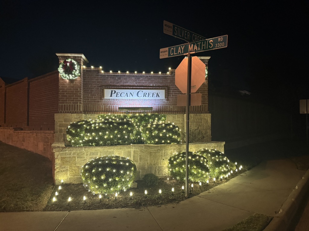HOA Christmas Lights