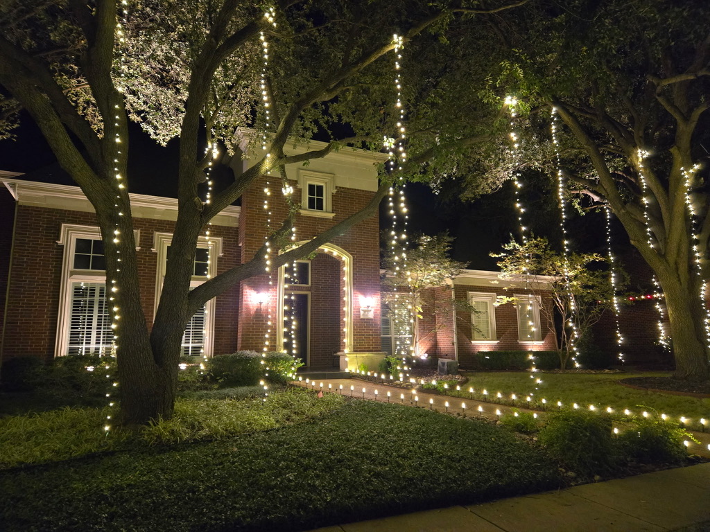 Tree Christmas Lighting