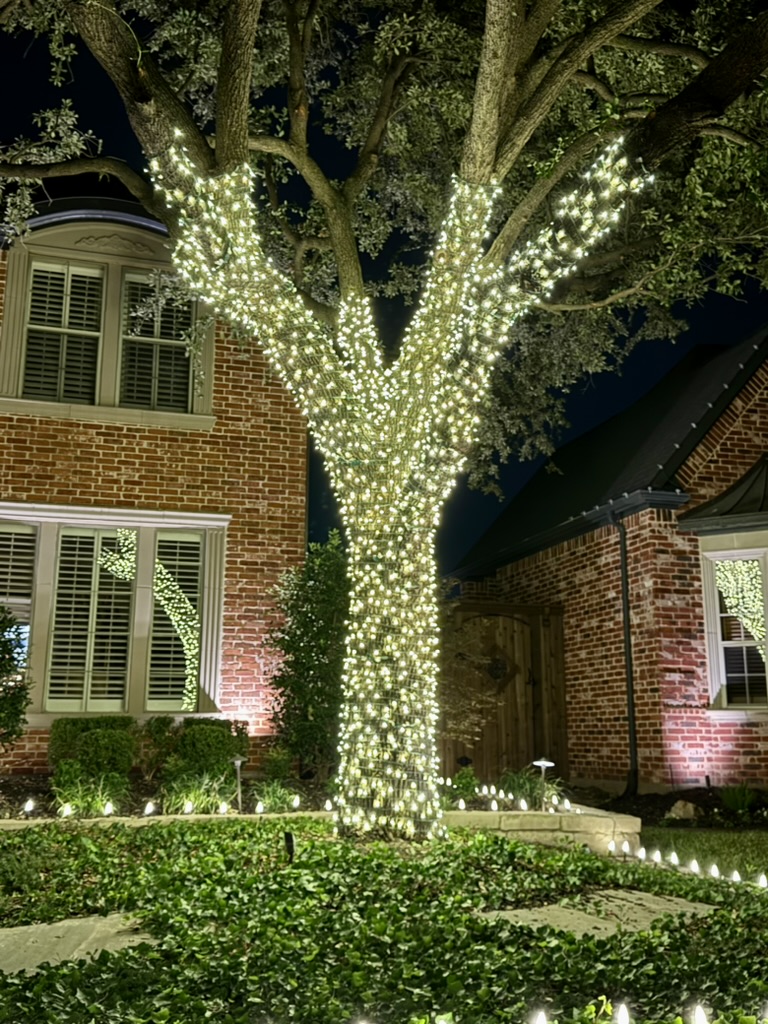 Tree Christmas Lighting